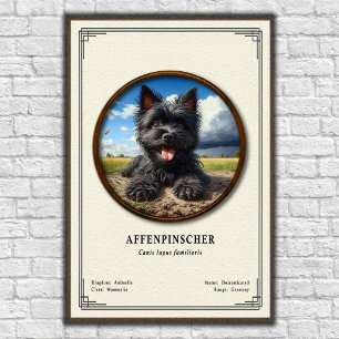 Affenpinscher Zoology Series Poster