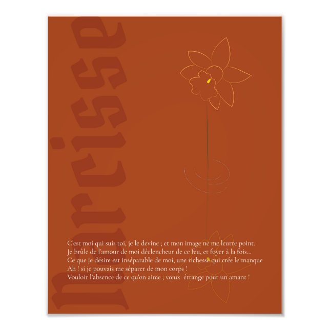 Affiche Narcisse Photo Print (Front)