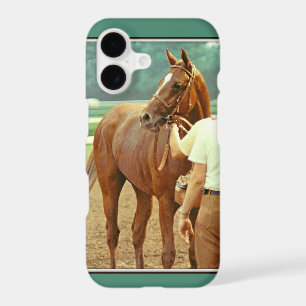 Affirmed Thoroughbred Racehorse 1978