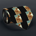 Affirmed Thoroughbred Racehorse 1978 Tie<br><div class="desc">My Horse Racing Photo of Triple Crown Winner Affirmed unsaddled after winning the Jim Dandy Stakes at Saratoga Race Track in New York on July 8th 1978.</div>