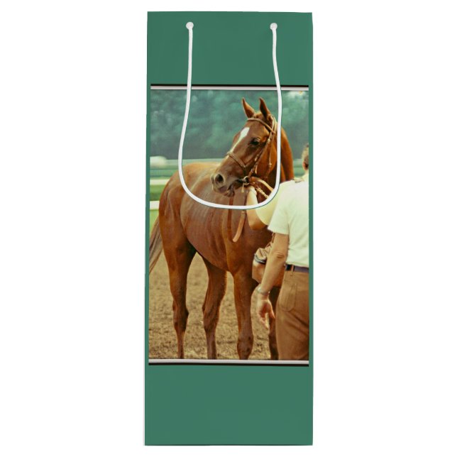 Affirmed Thoroughbred Racehorse 1978 Wine Gift Bag (Front)