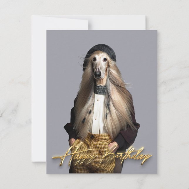 Afghan dog blonde hair in trousers Happy birthday (Front)
