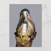 Afghan dog blonde hair in trousers Thank You