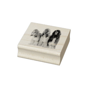 Afghan greyhounds rubber stamp