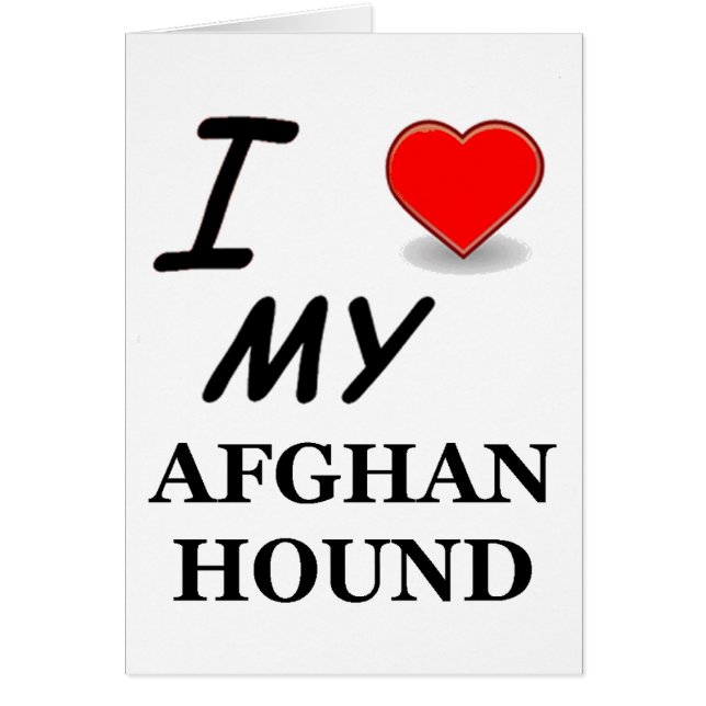 afghan hound (Front)