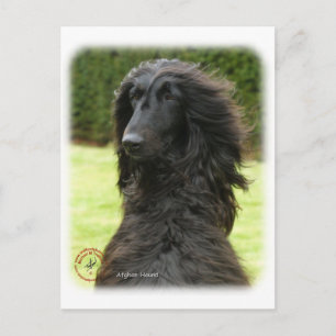 Afghan Hound 9T027D-081 Postcard