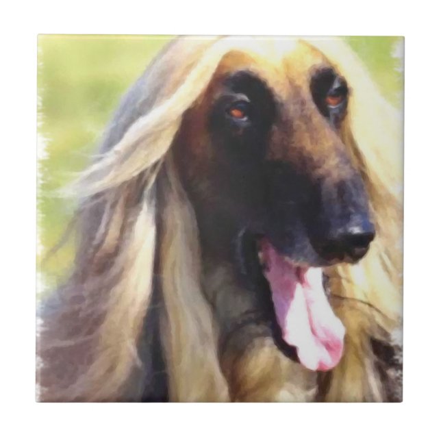 Afghan Hound Art Tile (Front)
