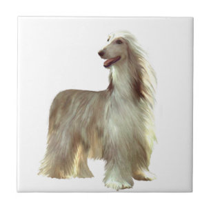Afghan Hound (B) - fawn standing Ceramic Tile