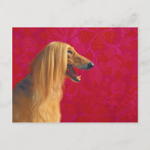Afghan Hound Cards and GIfts