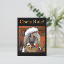 Afghan Hound  Chef