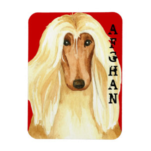 Afghan Hound Colour Block Magnet