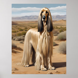 Afghan Hound - Dog Art Print