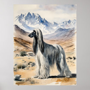 Afghan Hound - Dog Art Print