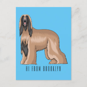 Afghan hound dog cartoon illustration  postcard