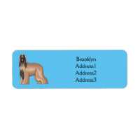 Afghan hound dog cartoon illustration