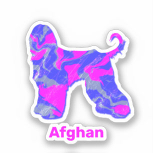 Afghan Hound Dog Hot Pink & Blue