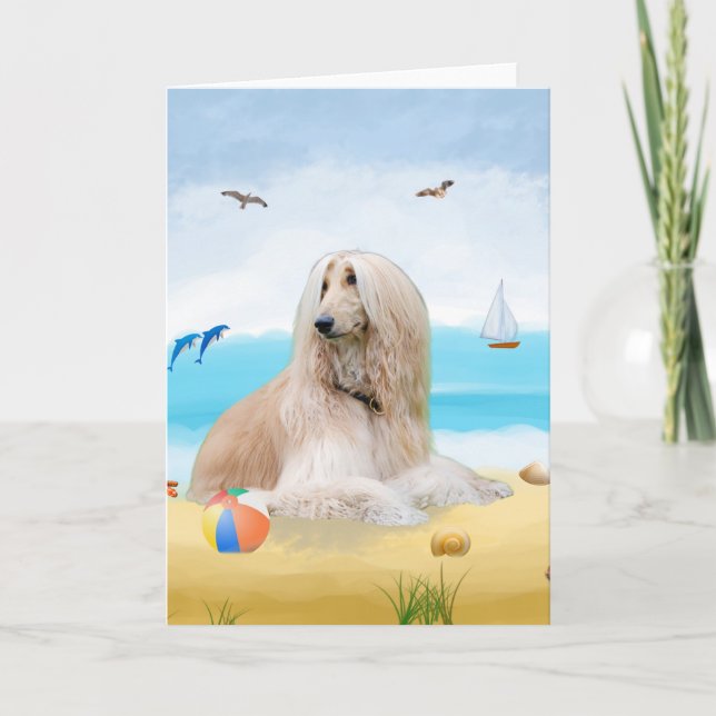 Afghan Hound Dog on Beach  Card (Front)
