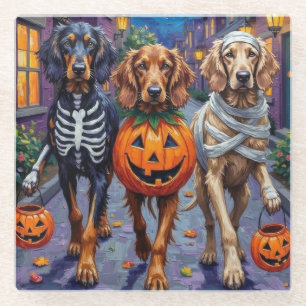 Afghan Hound Dogs Trick-or-Treating in Halloween Glass Coaster