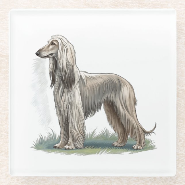 Afghan Hound Glass Coaster (Front)