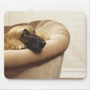 Afghan hound lying on sofa mouse pad