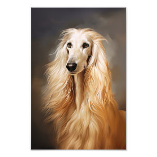Afghan Hound Photo Print