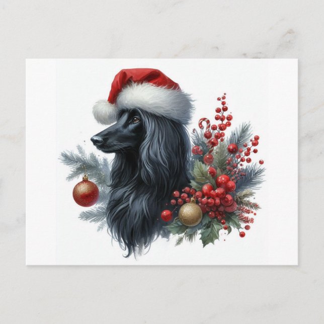 Afghan Hound Postcard (Front)