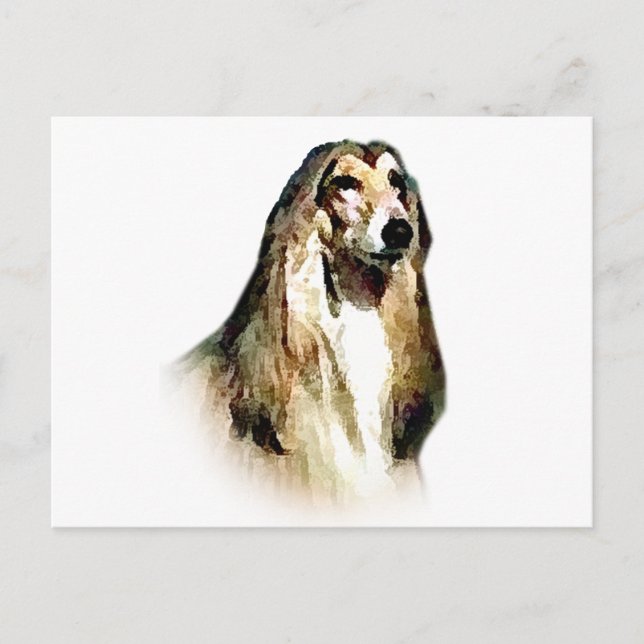 Afghan Hound Postcard (Front)