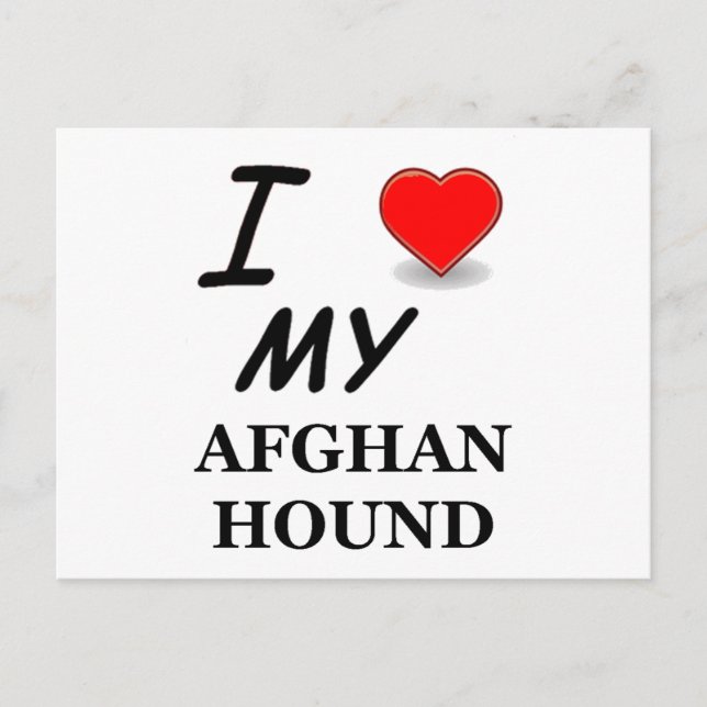 afghan hound postcard (Front)