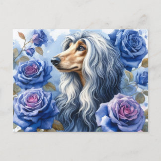 Afghan Hound Postcard