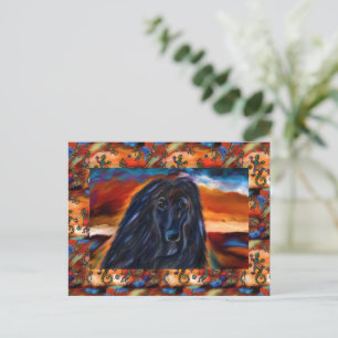 Afghan Hound Postcard