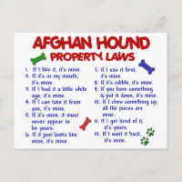 Afghan Hound Property Laws 2