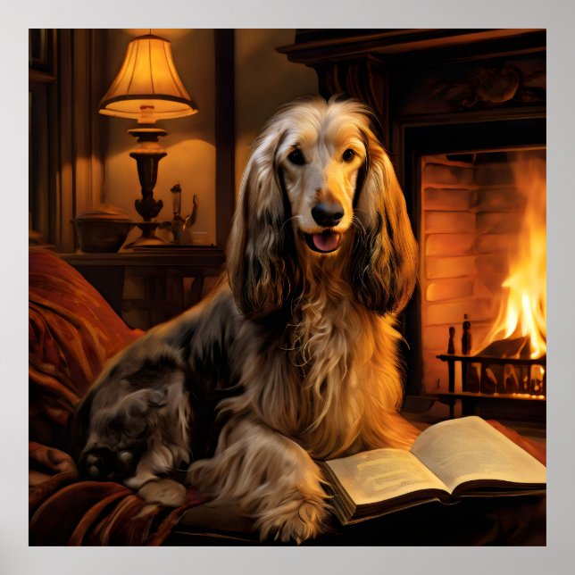 Afghan Hound Reading a Book Vintage Poster (Front)
