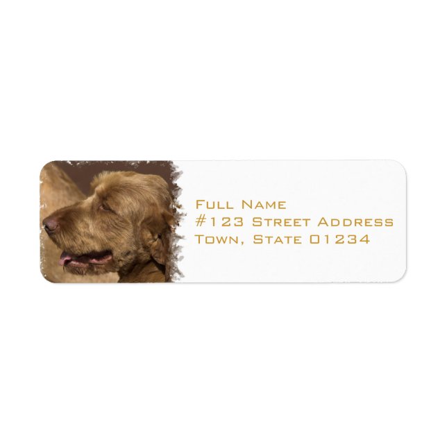 Afghan Hound Return Address Label (Front)