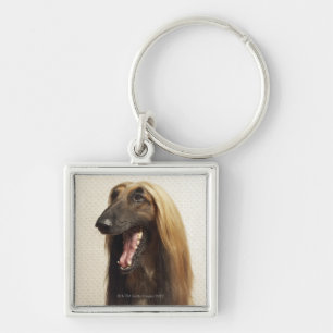 Afghan hound sitting in room key ring