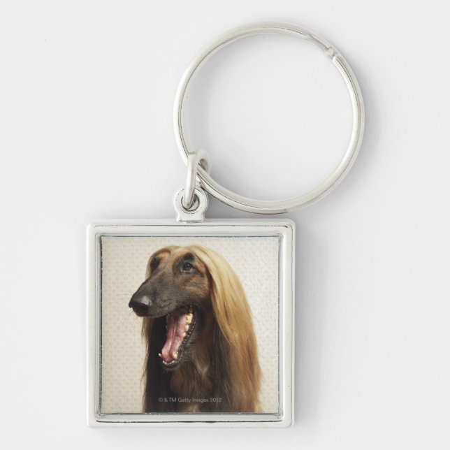 Afghan hound sitting in room key ring (Front)