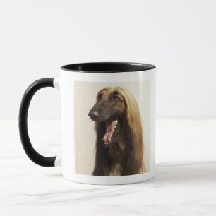 Afghan hound sitting in room mug