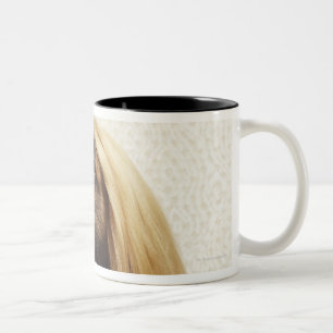 Afghan hound sitting in room Two-Tone coffee mug