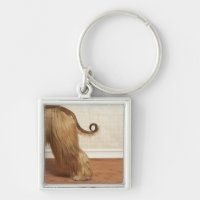 Afghan hound standing in room, end section