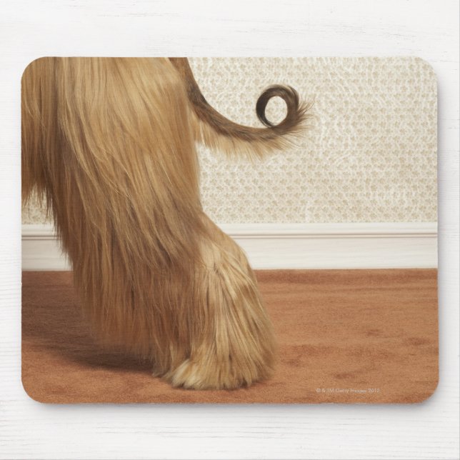 Afghan hound standing in room, end section mouse pad (Front)