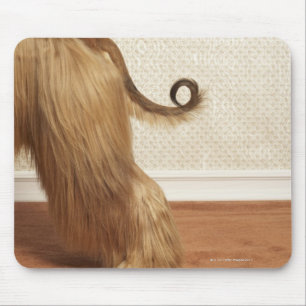 Afghan hound standing in room, end section mouse pad