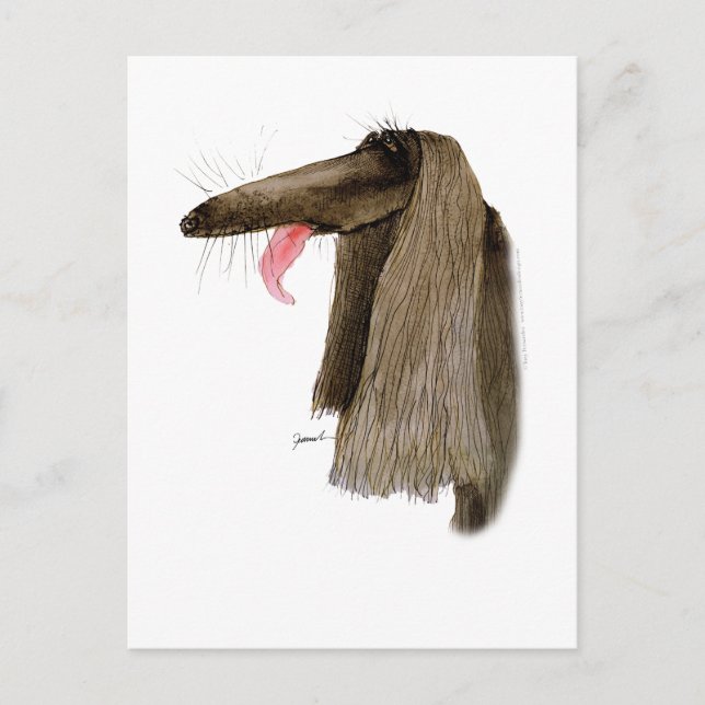 Afghan Hound, tony fernandes Postcard (Front)