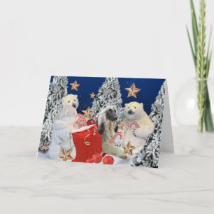 Afghan Hound Visits Santa's House Cards