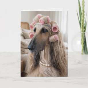 Afghan Hound Wearing Pink Sponge Curlers Card