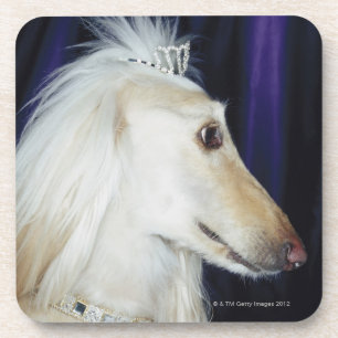 Afghan Hound wearing Tiara Coaster