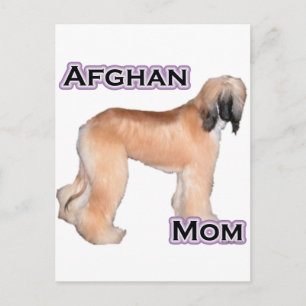 Afghan Mum 4 Postcard