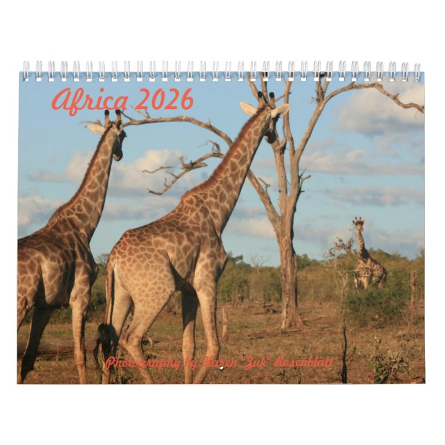 Africa - 2026 Calendar (Cover)