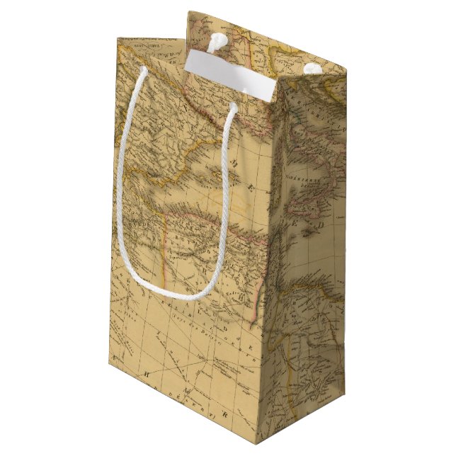 Africa 20 small gift bag (Back Angled)