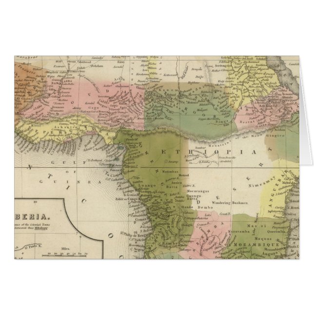 Africa 25 (Front Horizontal)
