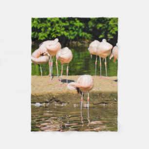 Africa African Animal Beak Funny Flamingo Lovers Fleece Blanket