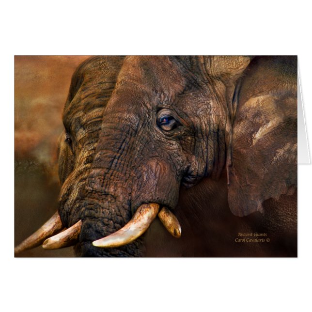 Africa - Ancient Giants ArtCard (Front Horizontal)